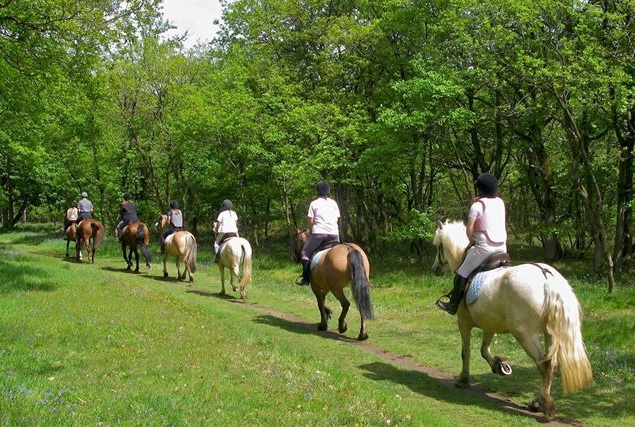 A cavallo nelle Terre Alte